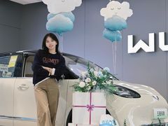 -乐清市阳光五菱宝骏汽车4S店(乐清店)