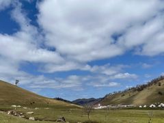 -关山牧场王师烤全羊