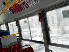 -亚布力新体委滑雪场