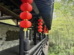 -大唐贡茶院