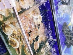 -勝記酒家·37年老字号·经典粤菜(荔枝公园店)