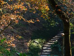 -广州市石门国家森林公园