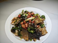 -鸽小宝(深圳首店)