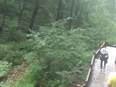-天女山森林公园