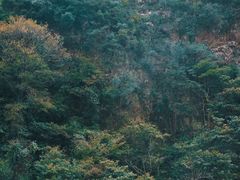 -白云源风景区