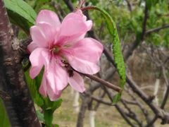 -永定河休闲森林公园