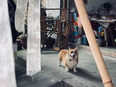 -海窝子古镇