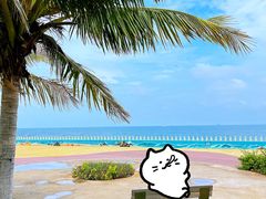 -海花岛旅游度假区
