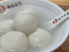 -海丝金凤(金鱼店)