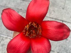 -好成财牛排馆(涂门街总店)