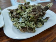 鸡爪螺（佛爪螺）-四季美蚝皇