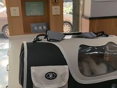 -联合动物医院(光谷诊疗中心)