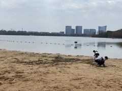 -暨阳湖生态园