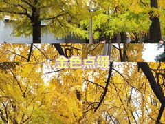 -四川大学(华西校区)