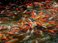 -南戴河国际娱乐中心