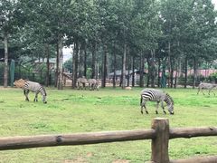 -大连森林动物园