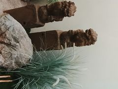 -五峰书院(南洋泾路店)