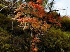-长白山聚龙火山温泉