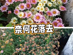 -大连植物园