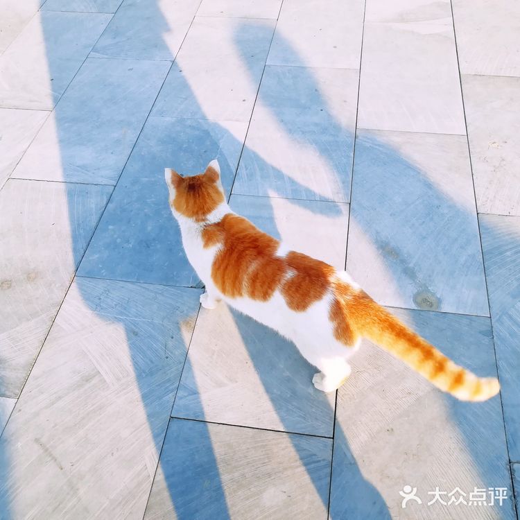 贵阳周边游|游走在泉湖公园的美妙时光