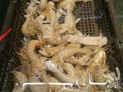 -黑石礁酒楼·海鲜(黑石礁店)