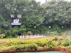 -广州长隆飞鸟乐园