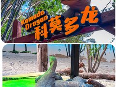 -广州长隆野生动物世界