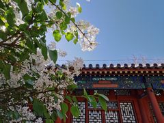 -恭王府博物馆