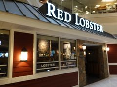 门面-RED LOBSTER(多伦多DT店)