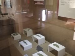 -洛阳周王城天子驾六博物馆