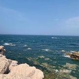 打卡✅抖音网红养马岛🌊🌊