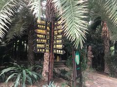 -龙达温泉生态城