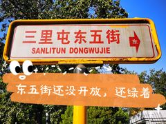 -三里屯东五街银杏大道