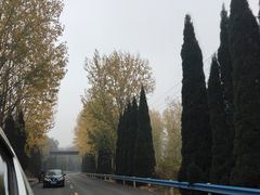 -洛阳古墓博物馆