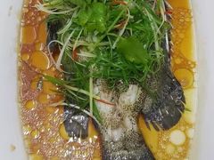 -小白鲨工夫潮膳(曲江店)