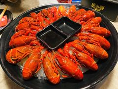 冰镇小龙虾-沪小胖小龙虾(淮海中路旗舰店)