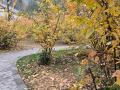 -塔子山公园
