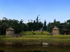 -云南民族村
