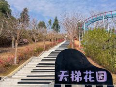 -盈香心动乐园