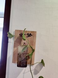 -青青一生美皮肤管理