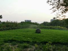 -金星公园
