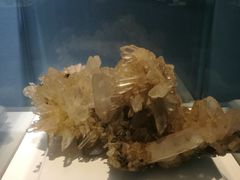 -金钉子远古世界景区