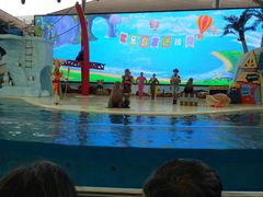 -三亚海昌梦幻海洋不夜城