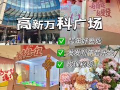 -郑州高新·万科广场