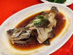 清蒸海青斑-新海利海鲜城·41年珠海老字号(夏湾店)