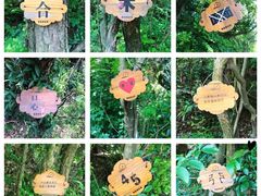 -梅岭铜源峡风景区