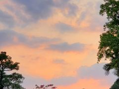 -广东外语外贸大学(白云山校区)