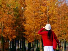 -白鹭湾湿地公园