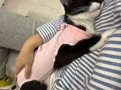 -美联众合爱康动物医院•复杂内科•肿瘤科•牙科•腔镜诊疗中心