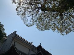 -宁波溪口古镇-民国大杂院